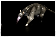 China Light Festival 2019