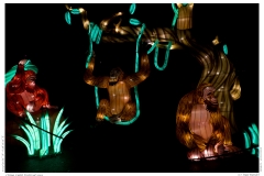 China Light Festival 2019