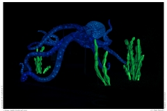 China Light Festival 2019 China Light Festival 2019