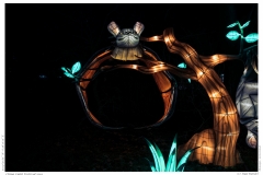 China Light Festival 2019