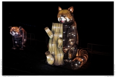 China Light Festival 2019 China Light Festival 2019