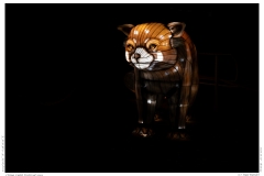 China Light Festival 2019