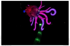 China Light Festival 2019