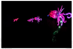 China Light Festival 2019