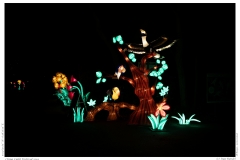China Light Festival 2019