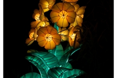 China Light Festival 2019