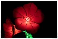 China Light Festival 2019
