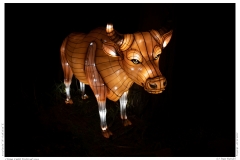 China Light Festival 2019