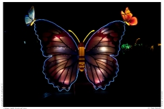 China Light Festival 2019 China Light Festival 2019