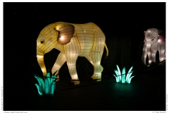 China Light Festival 2019