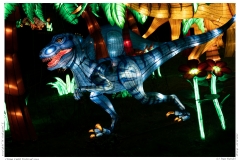 China Light Festival 2019
