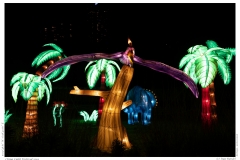 China Light Festival 2019