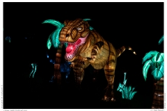 China Light Festival 2019