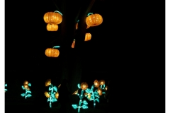 China Light Festival 2019