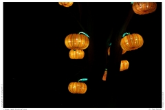 China Light Festival 2019