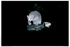 China Light Festival 2019