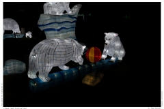 China Light Festival 2019