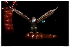China Light Festival 2019