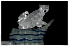 China Light Festival 2019 China Light Festival 2019