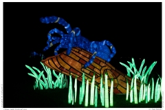 China Light Festival 2019