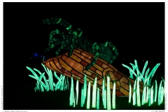 China Light Festival 2019