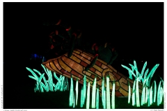 China Light Festival 2019