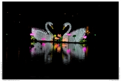 China Light Festival 2019