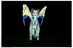 China Light Festival 2019