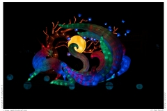 China Light Festival 2019