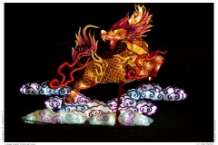 China Light Festival 2019