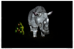 China Light Festival 2019