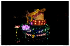 China Light Festival 2019
