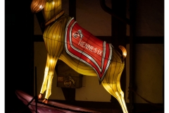 China Light Festival 2019 China Light Festival 2019