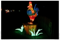 China Light Festival 2019