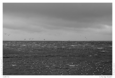 rauhe See