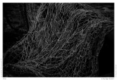Netz