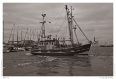 NEU 232