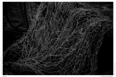 Netz