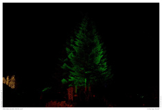 Christmas Garden Berlin 2018