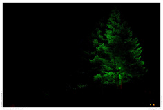 Christmas Garden Berlin 2018