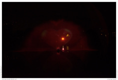 Christmas Garden Berlin 2018