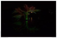 Christmas Garden Berlin 2018