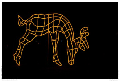 Christmas Garden Berlin 2018