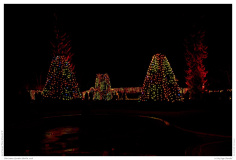 Christmas Garden Berlin 2018