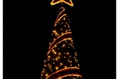 Christmas Garden Berlin 2018