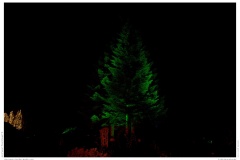 Christmas Garden Berlin 2018