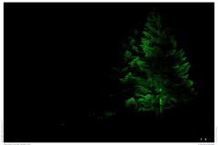 Christmas Garden Berlin 2018