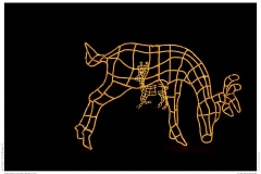 Christmas Garden Berlin 2018