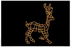 Christmas Garden Berlin 2018