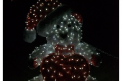 Christmas Garden Berlin 2018